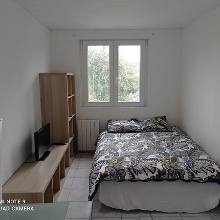 Studio Efficace, Calme Et Comfortable Apartment Albi Luaran gambar